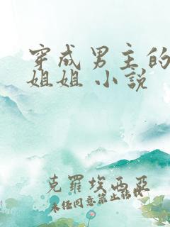 穿成男主的反派姐姐 小说