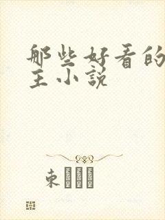 那些好看的双男主小说