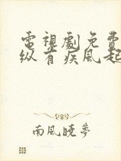 电视剧免费全集纵有疾风起