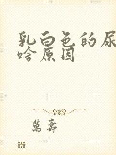 乳白色的尿液是啥原因