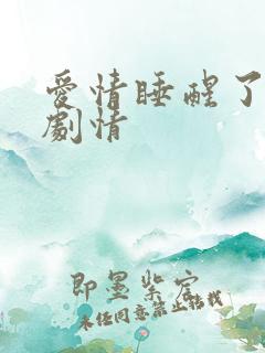 爱情睡醒了分集剧情