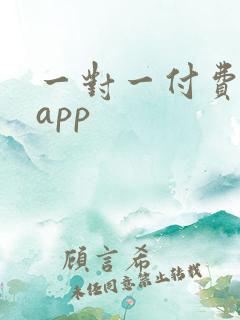 一对一付费陪的app