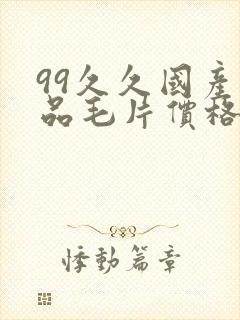 99久久国产精品毛片价格