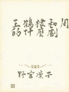 王鹤棣和周也演的什么剧