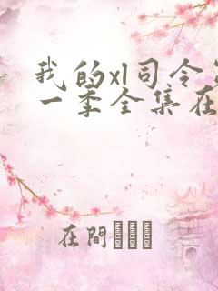 我的xl司令第一季全集在线观看