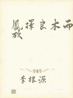 凤择良木而栖播放