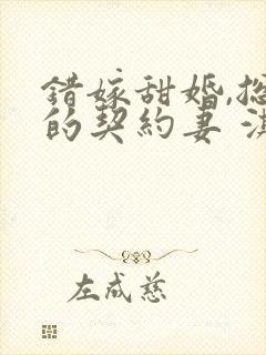 错嫁甜婚,总裁的契约妻 淇沅