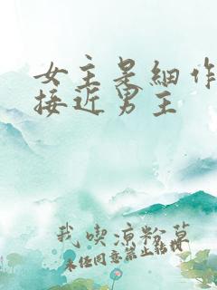 女主是细作故意接近男主