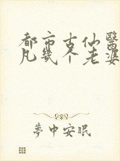 都市古仙医叶不凡几个老婆