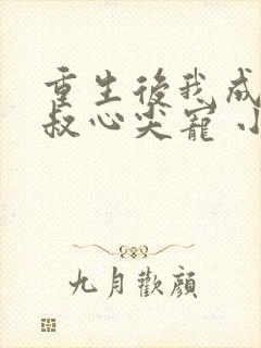 重生后我成了皇叔心尖宠 小说