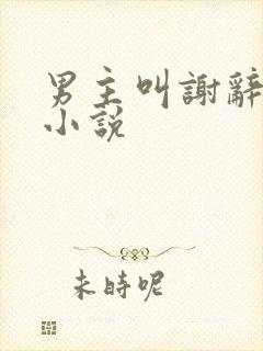男主叫谢辞安的小说