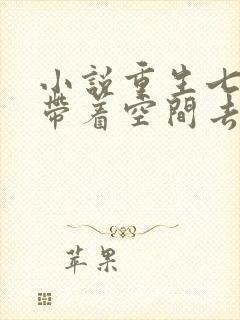 小说重生七零之带着空间去下乡下载