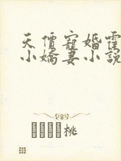 天价宠婚霍总的小娇妻小说全文免费阅读