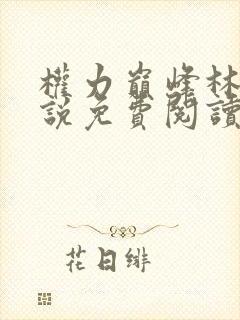 权力巅峰林毅小说免费阅读