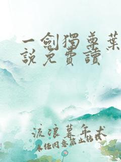 一剑独尊叶玄小说免费读