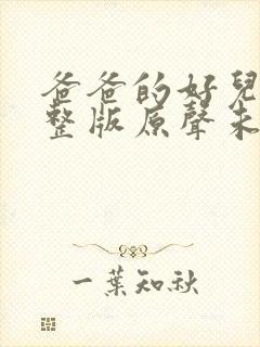 爸爸的好儿子完整版原声未删减