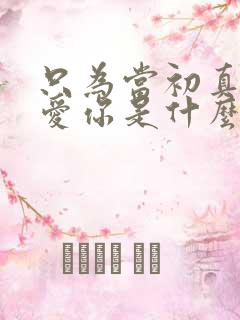 只为当初真的太爱你是什么歌