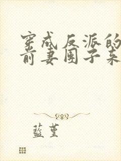 穿成反派的炮灰前妻团子来袭