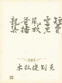 龙爸风云短剧全集播放免费观看