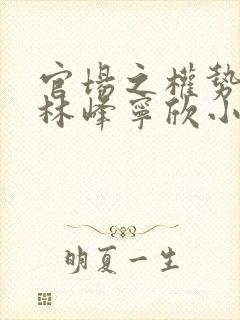 官场之权势滔天林峰宁欣小说