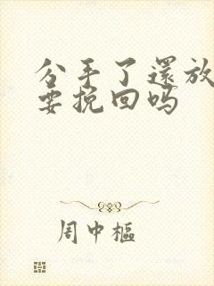 分手了还放不下要挽回吗