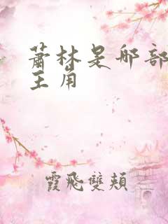 萧林是哪部小说主角