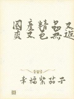 国产精品又黄又爽又色无遮挡网