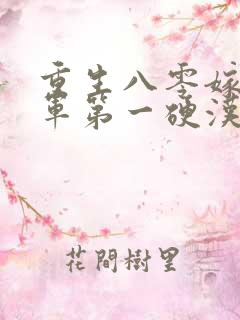 重生八零嫁给全军第一硬汉免费看