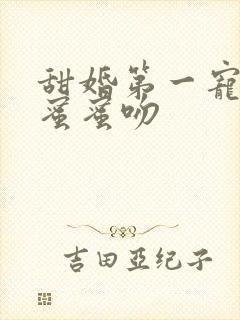 甜婚第一宠总裁蜜蜜吻