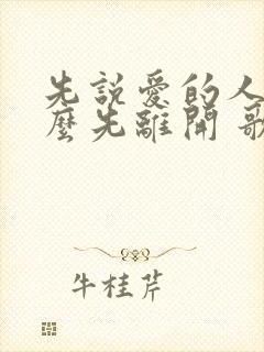 先说爱的人为什么先离开 歌词