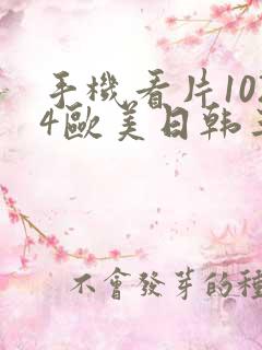 手机看片1024欧美日韩三区