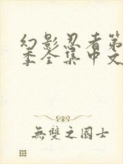 幻影忍者第10季全集中文