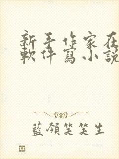 新手作家在哪个软件写小说好