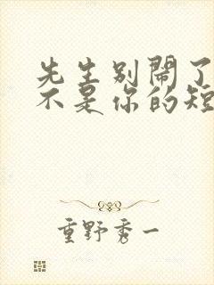 先生别闹了新娘不是你的短剧免费观看全集