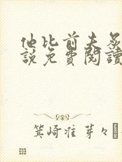 他比前夫炙热小说免费阅读