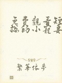 免费观看短剧肖总的小宠妻