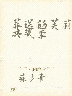 葬送的芙莉莲一共几季