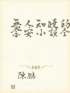 无人知晓的她苏念安小说全文免费阅读