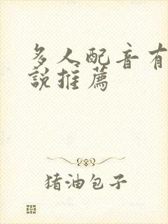 多人配音有声小说推荐