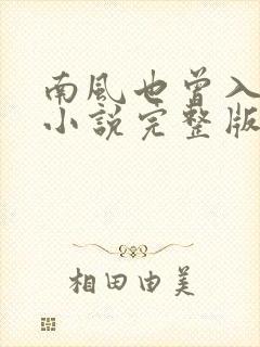 南风也曾入我怀小说完整版大结局