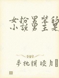 女扮男装的古言小说男主是皇帝