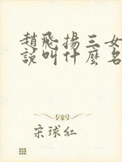 赵飞扬三女的小说叫什么名字