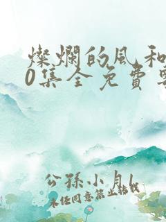 灿烂的风和海40集全免费粤语在线观看