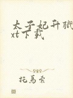 太子妃升职记txt下载