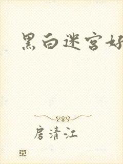 黑白迷宫好看吗