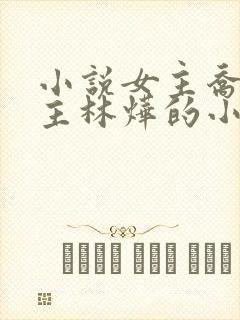 小说女主乔念男主林烨的小说