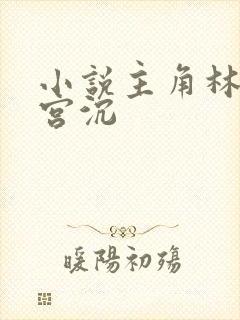 小说主角林知意宫沉