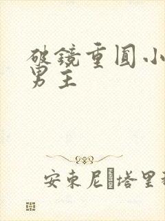 破镜重圆小说双男主