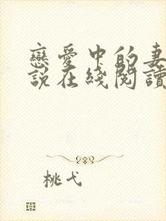 恋爱中的妻子小说在线阅读