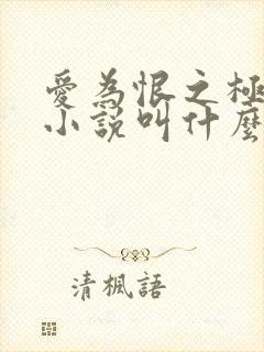 爱为恨之极原著小说叫什么名字